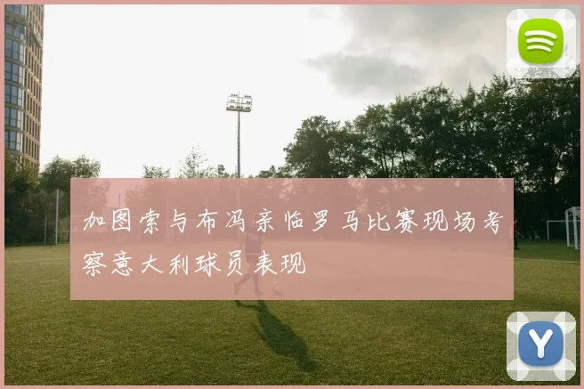 加图索与布冯亲临罗马比赛现场考察意大利球员表现
